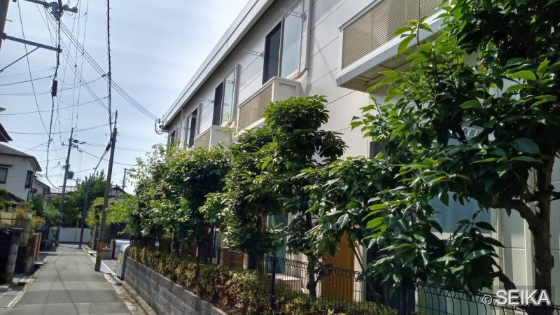 内緒