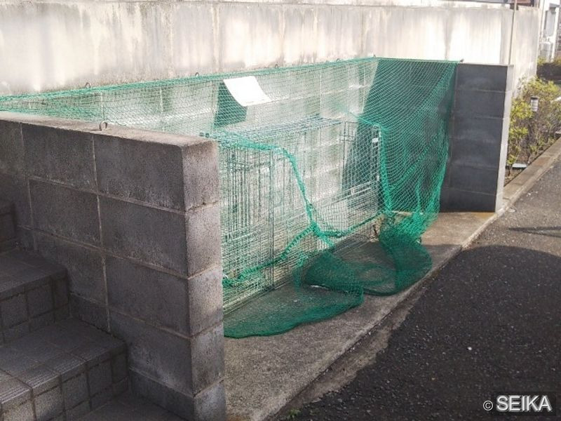居間